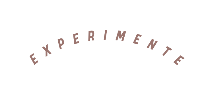 E X P E R I M E N T E
